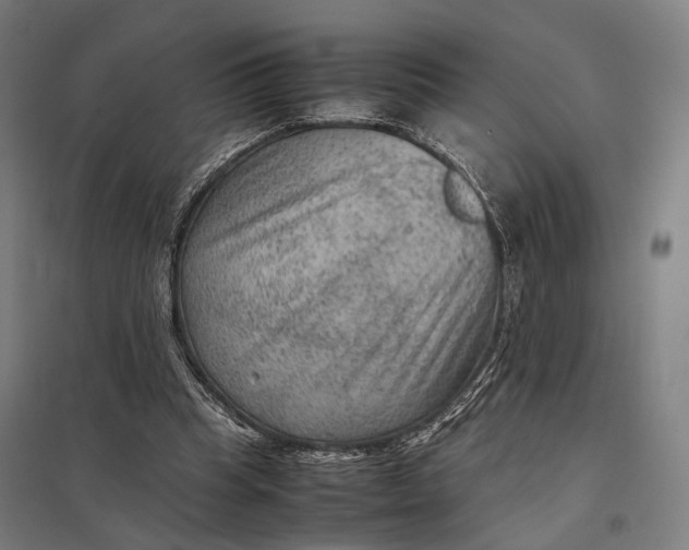 X0000097920345200803281431