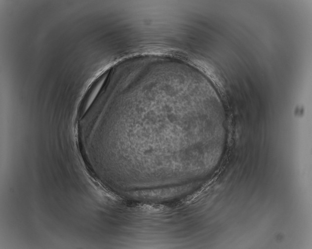 X0000097920346200803281431