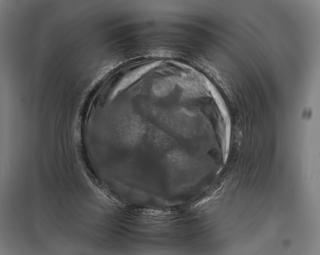 X0000097920347200803281431