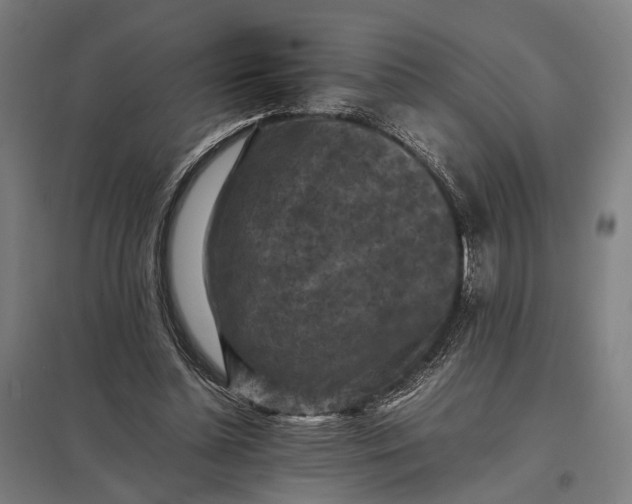 X0000097920348200803281431