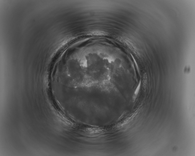 X0000097920351200803281431