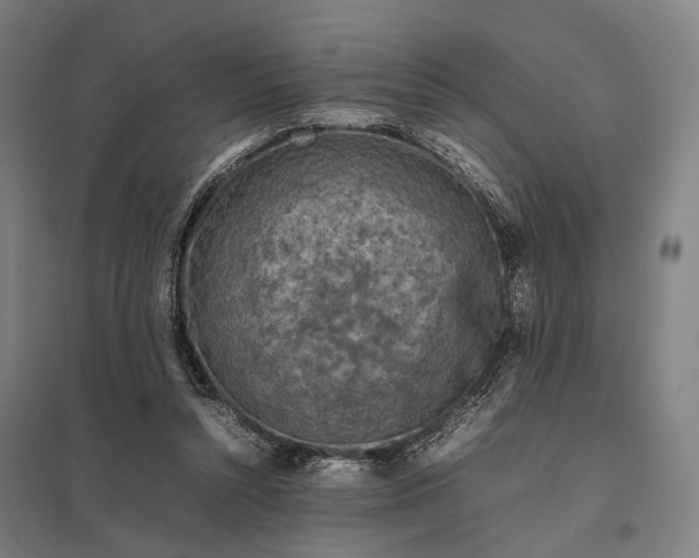 X0000097920352200803281431