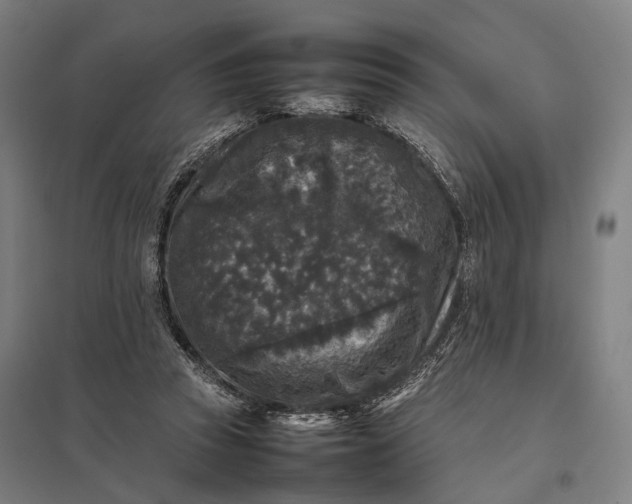 X0000097920353200803281431