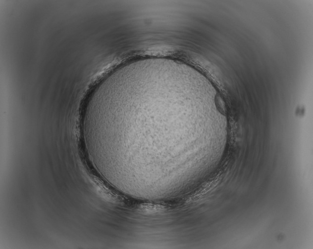 X0000097920354200803281431