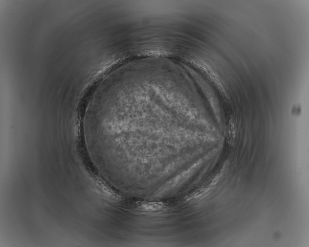 X0000097920355200803281431