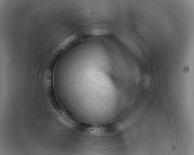 X0000097920356200803281431