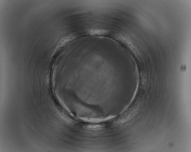 X0000097920357200803281431