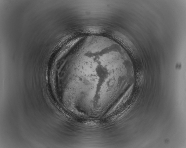 X0000097920358200803281431