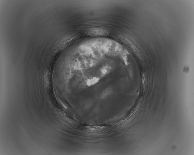 X0000097920359200803281431