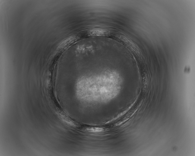 X0000097920361200803281431