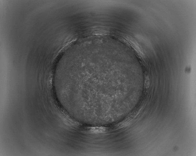 X0000097920363200803281431