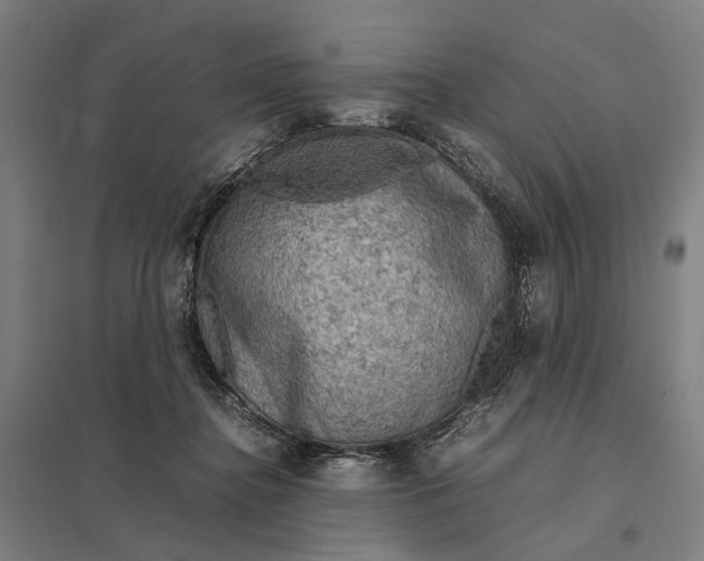 X0000097920364200803281431