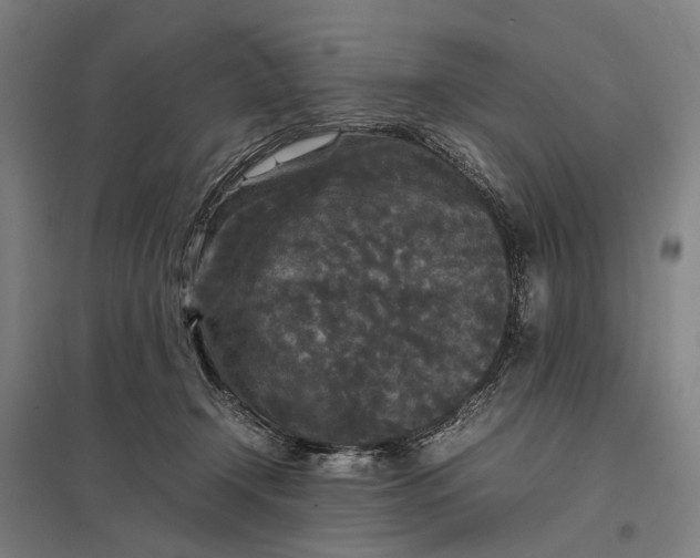 X0000097920366200803281431