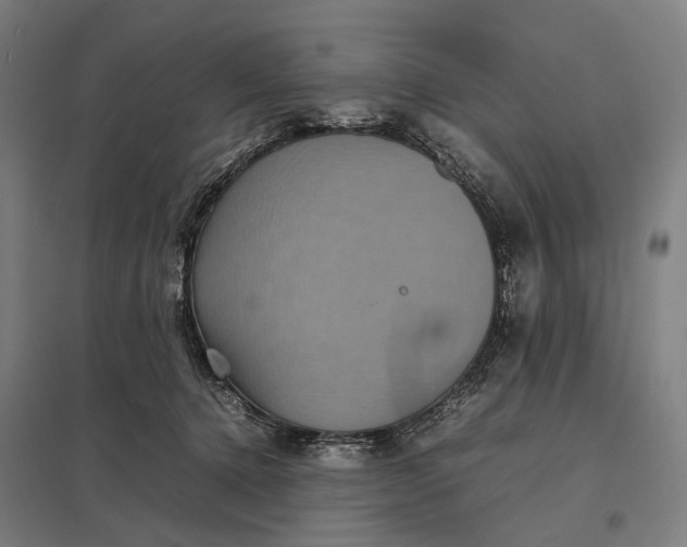 X0000097920368200803281431