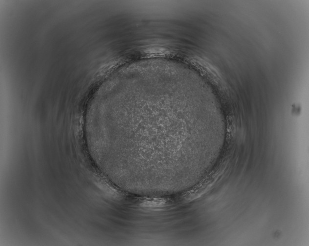 X0000097920369200803281431