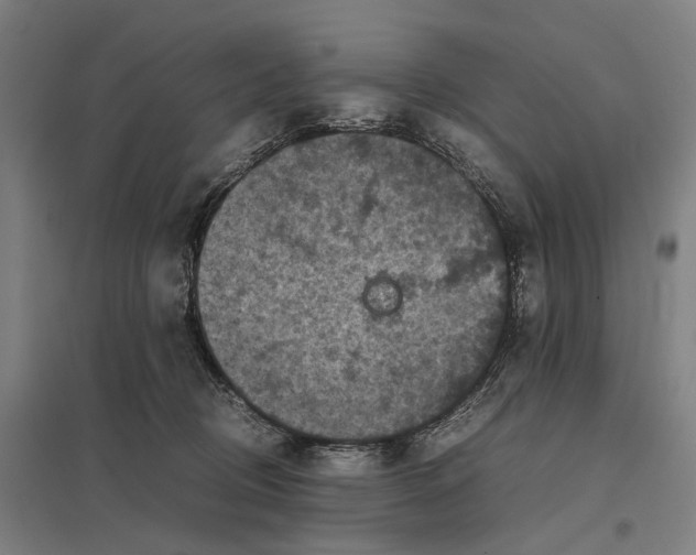 X0000097920370200803281431