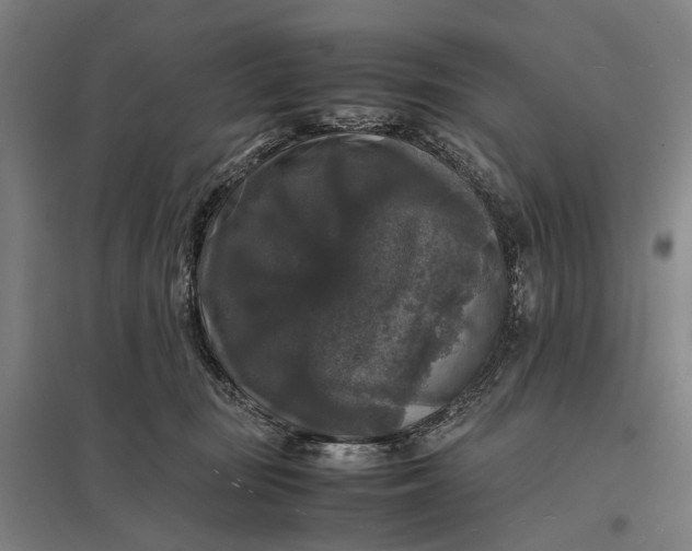 X0000097920371200803281431