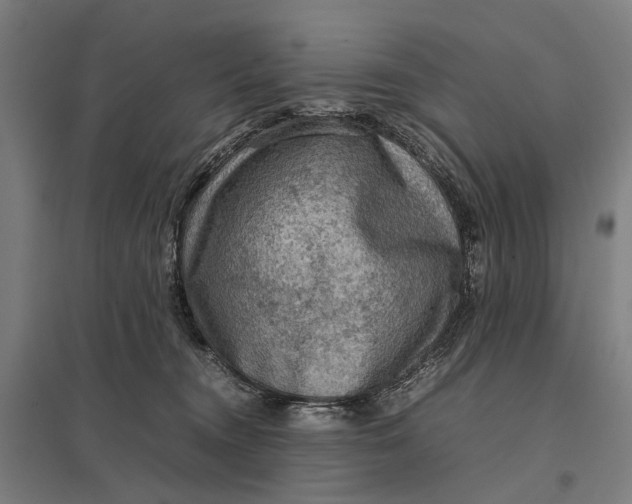 X0000097920372200803281431