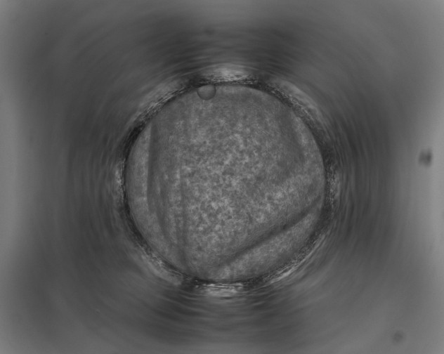 X0000097920373200803281431