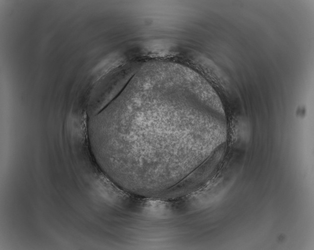 X0000097920376200803281431