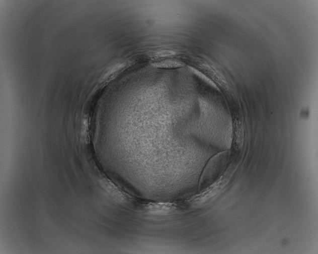 X0000097920378200803281431