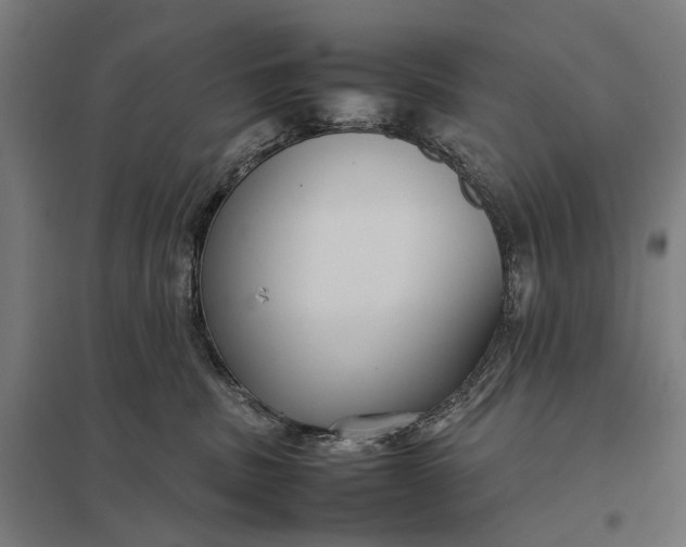 X0000097920379200803281432