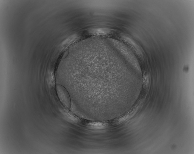 X0000097920381200803281432