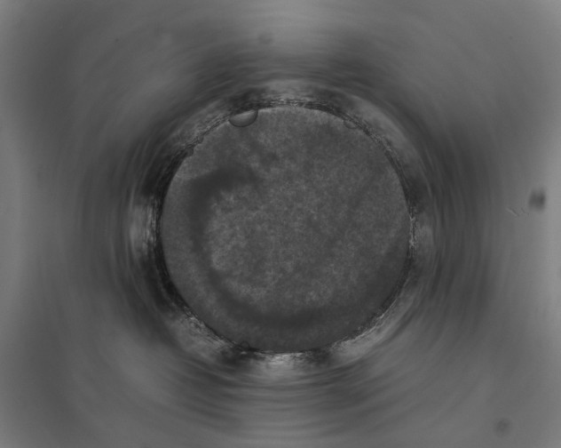 X0000097920382200803281432