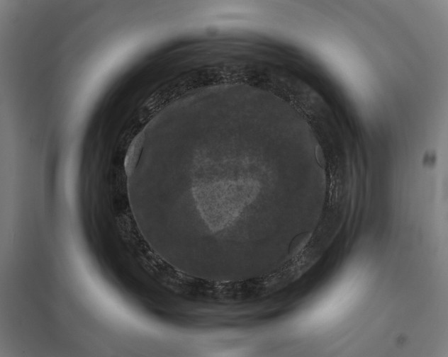 X0000097920383200803281432