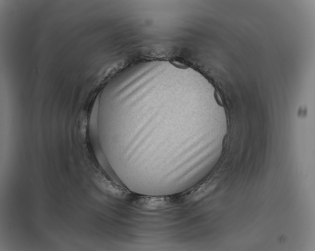 X0000097920384200803281432