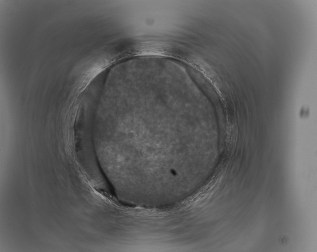 X0000097920385200803281431