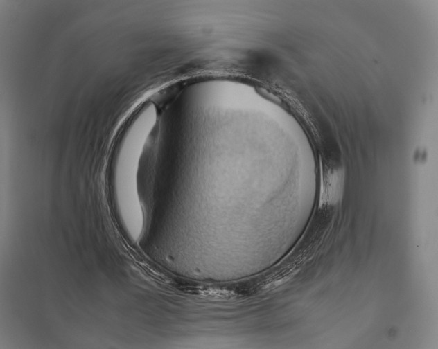 X0000097920387200803281431