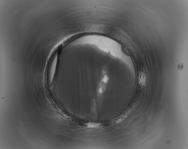 X0000097920388200803281431