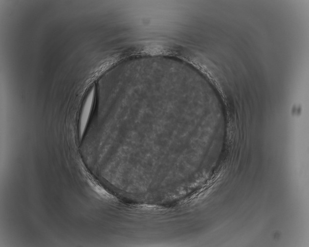 X0000097920393200803281431