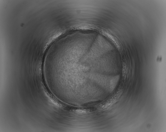 X0000097920394200803281431