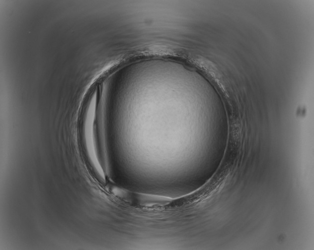 X0000097920395200803281431