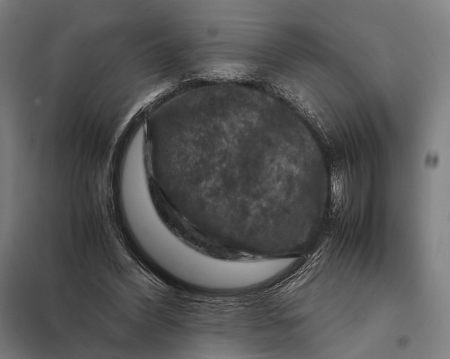 X0000097920396200803281431