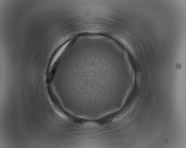 X0000097920397200803281431