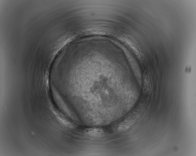 X0000097920398200803281431