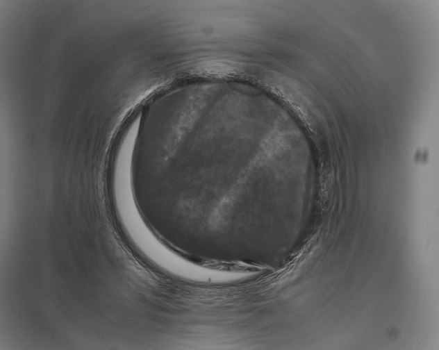 X0000097920399200803281431