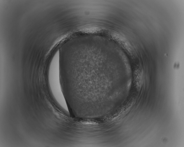 X0000097920400200803281431