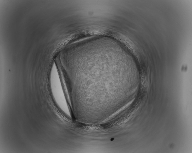 X0000097920401200803281431