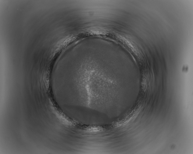 X0000097920402200803281431