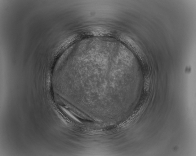 X0000097920405200803281430