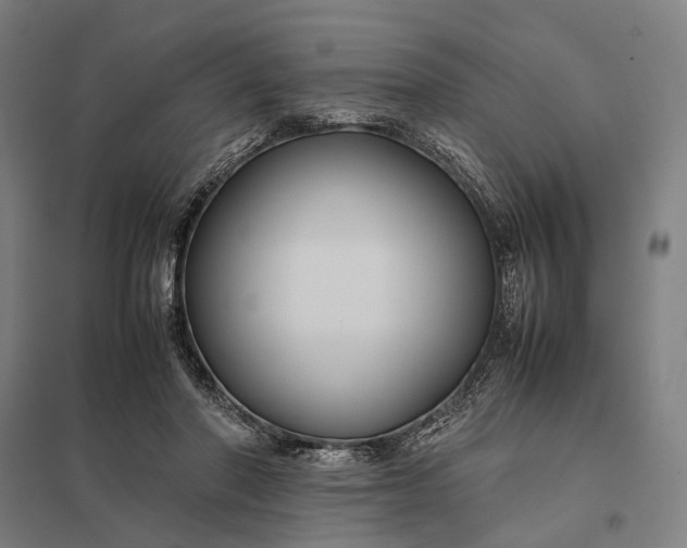 X0000097920406200803281430