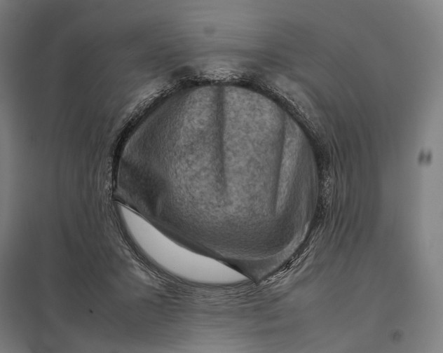 X0000097920407200803281430