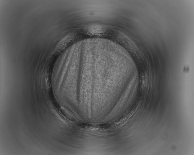 X0000097920408200803281430