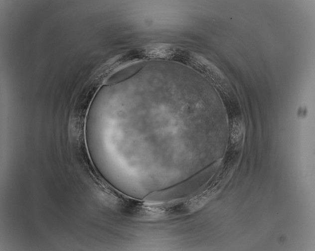 X0000097920409200803281430