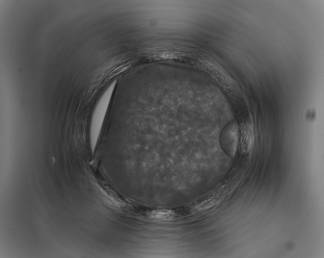 X0000097920410200803281430