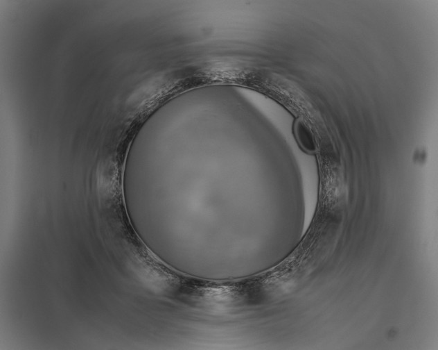 X0000097920411200803281430